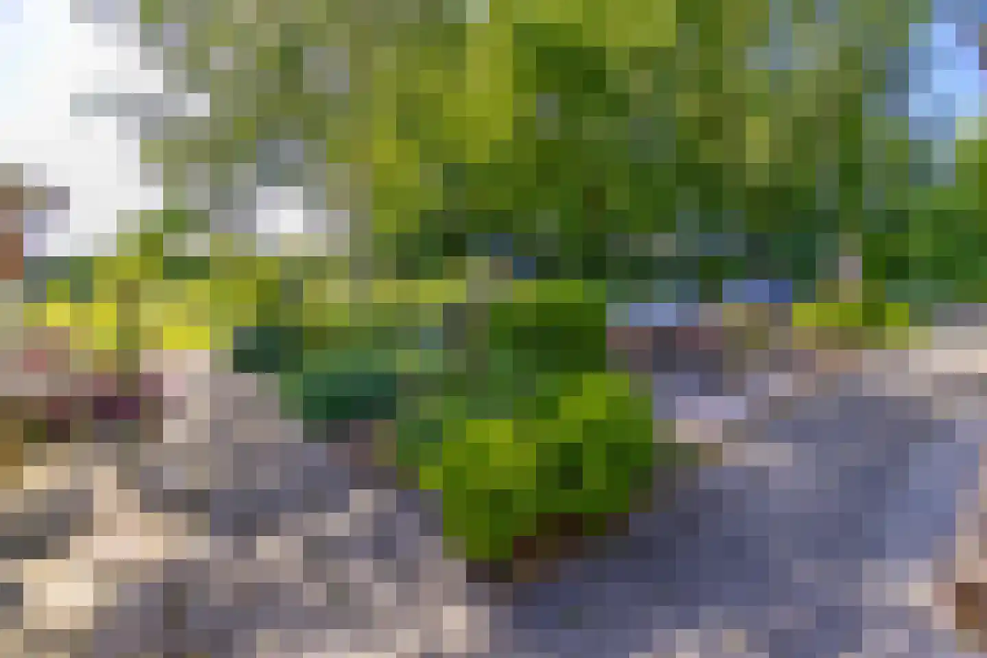 Noorderstraat 25 Buinerveen thumbnail 44