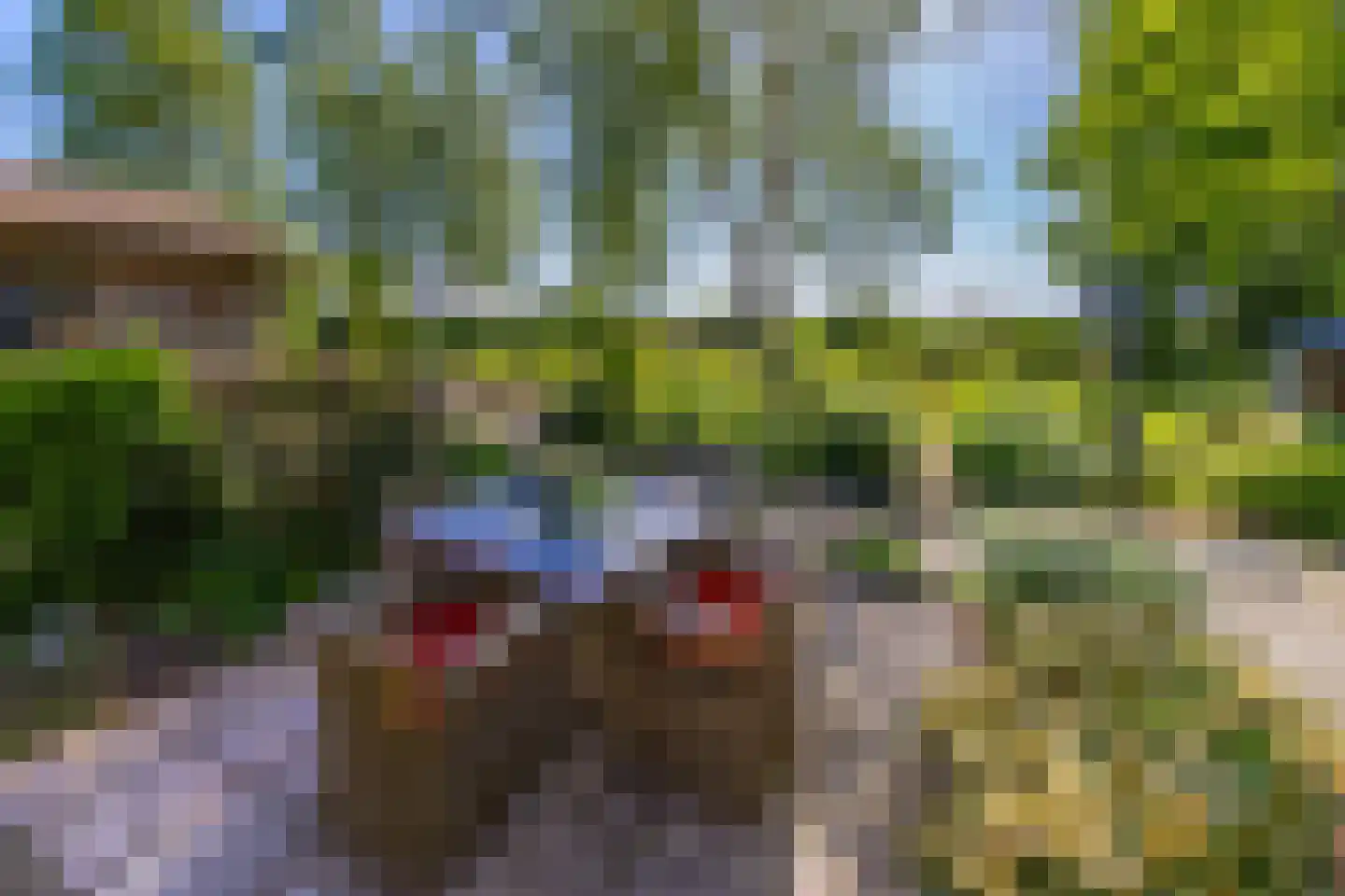 Noorderstraat 25 Buinerveen thumbnail 45