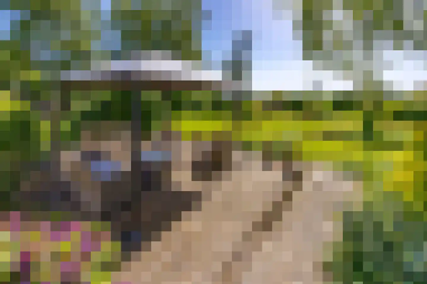 Noorderstraat 25 Buinerveen thumbnail 46