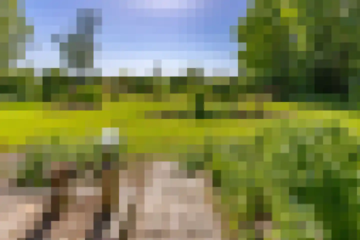 Noorderstraat 25 Buinerveen thumbnail 47