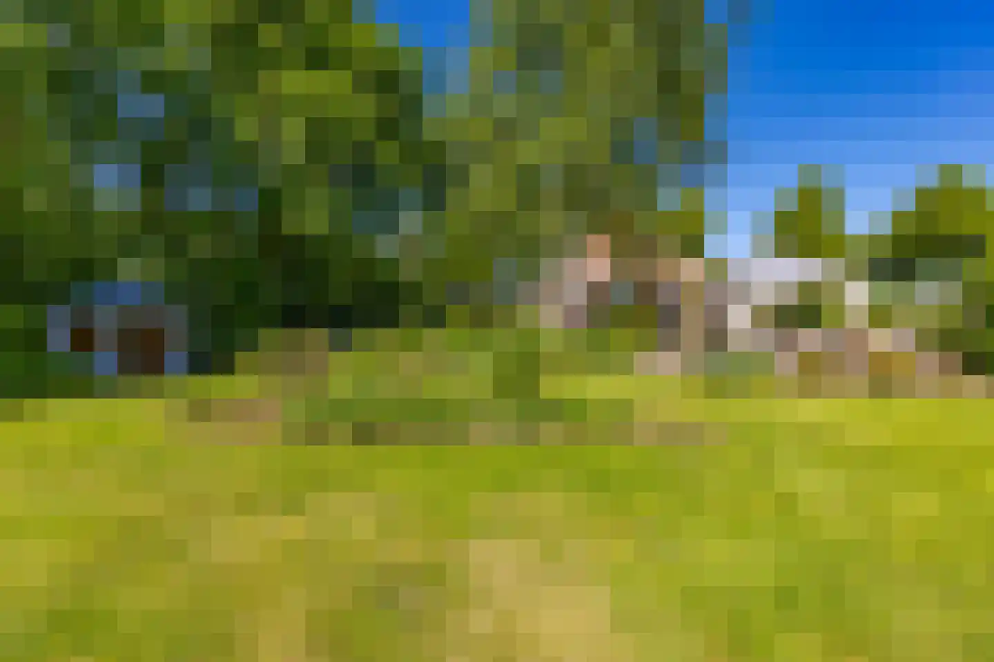 Noorderstraat 25 Buinerveen thumbnail 48