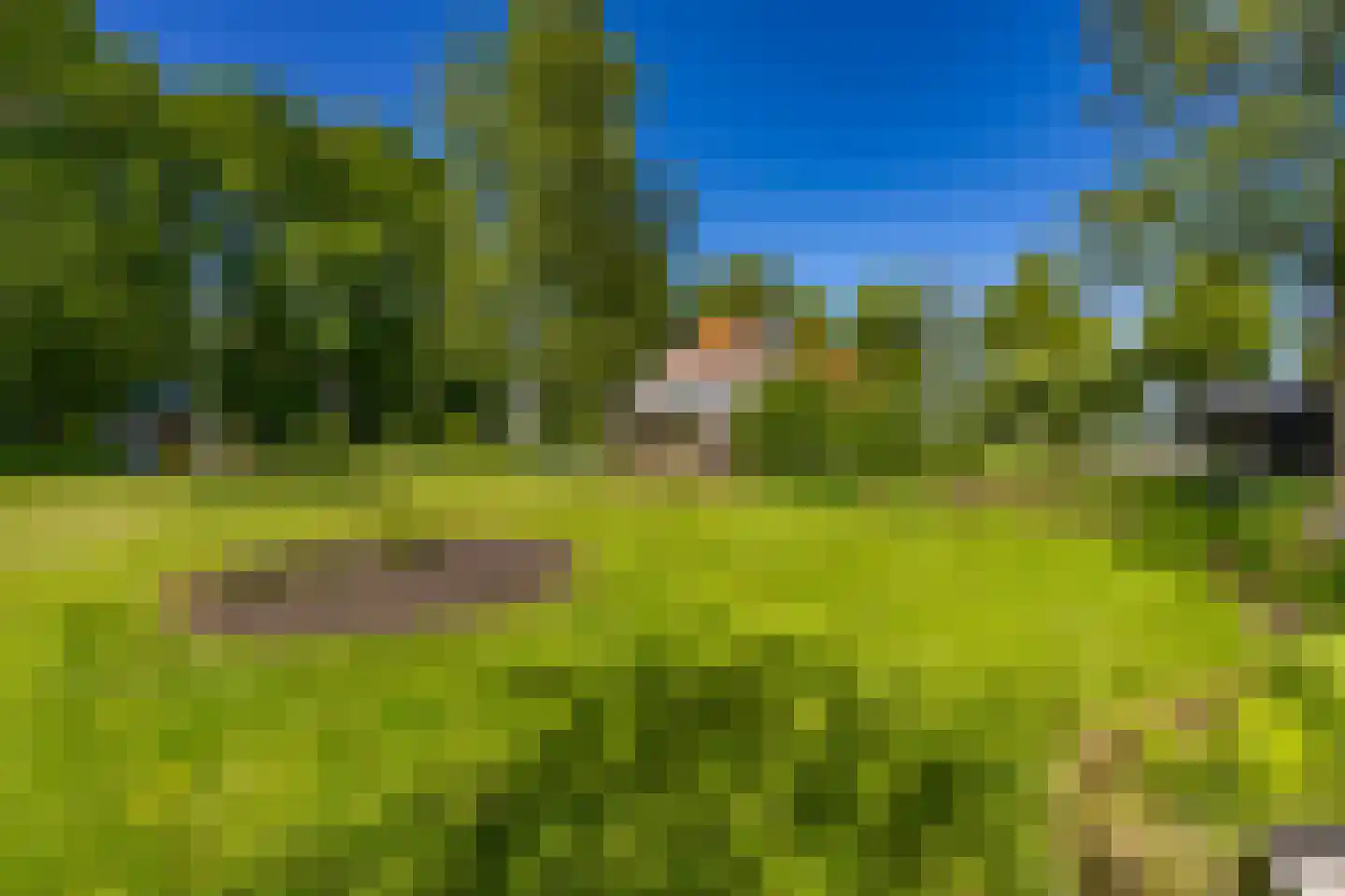 Noorderstraat 25 Buinerveen thumbnail 49