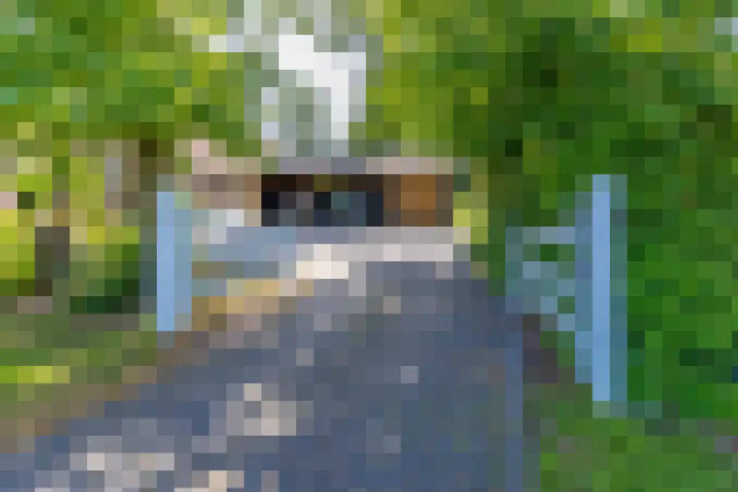 Noorderstraat 25 Buinerveen thumbnail 8