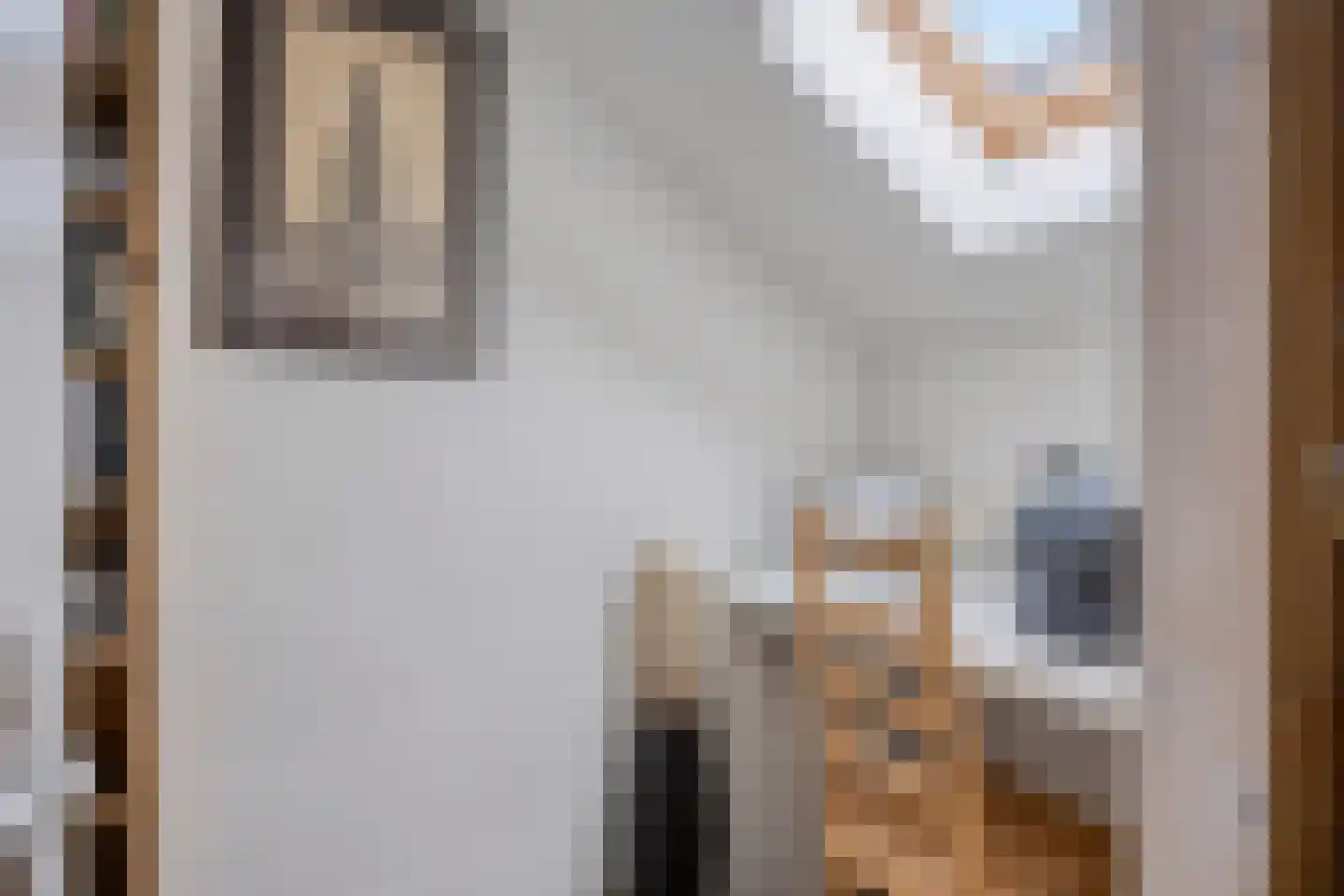 Noorderstraat 260 Sappemeer thumbnail 28