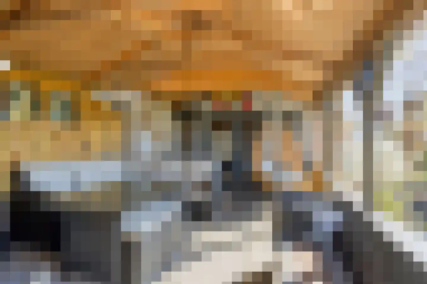 Noorderstraat 260 Sappemeer thumbnail 33