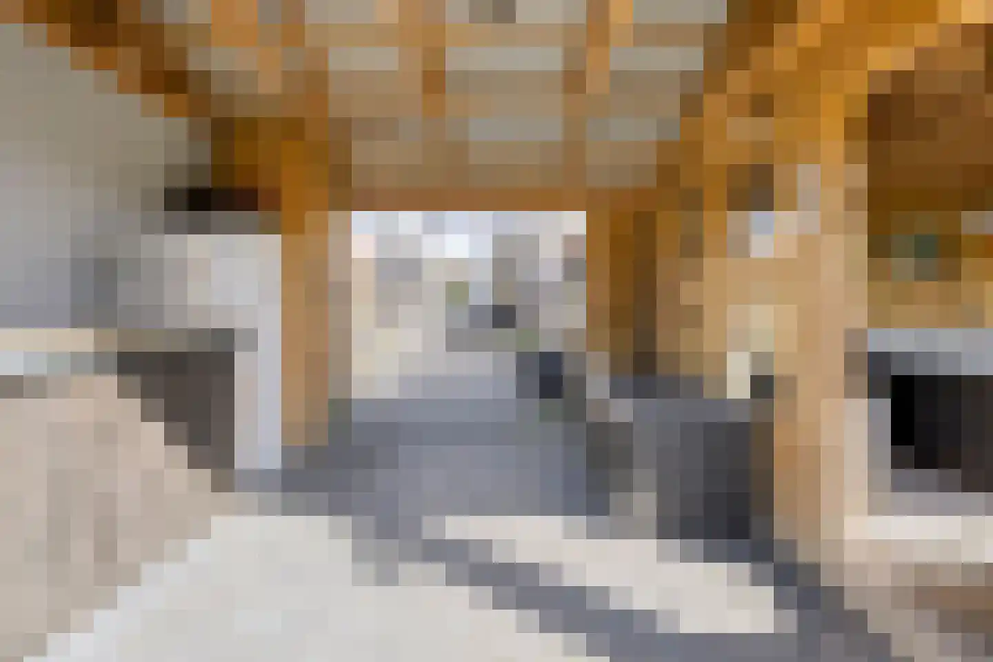 Noorderstraat 260 Sappemeer thumbnail 35