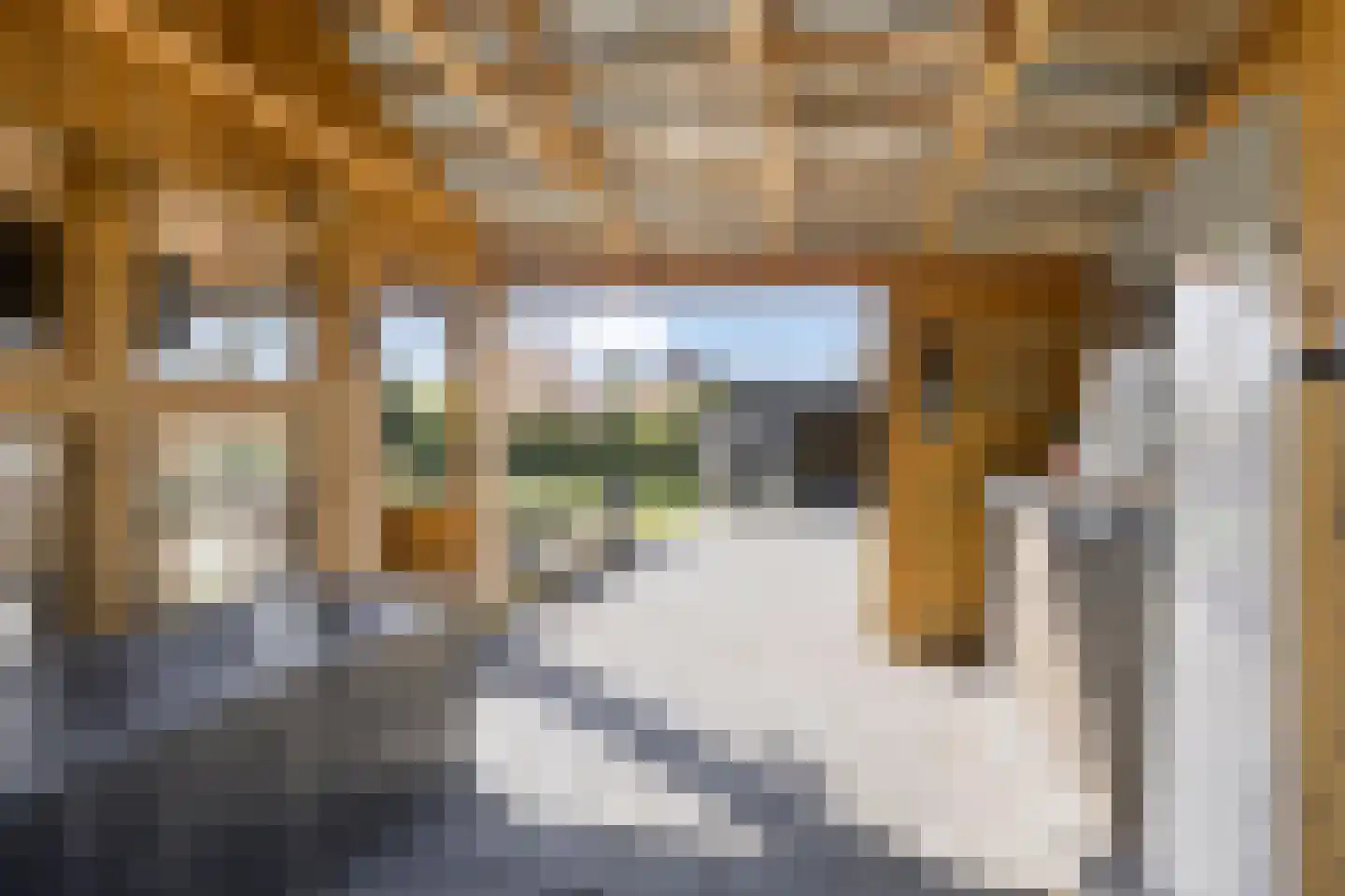 Noorderstraat 260 Sappemeer thumbnail 36