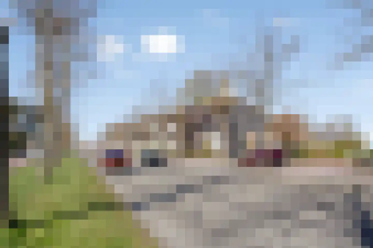 Noorderstraat 260 Sappemeer thumbnail 40