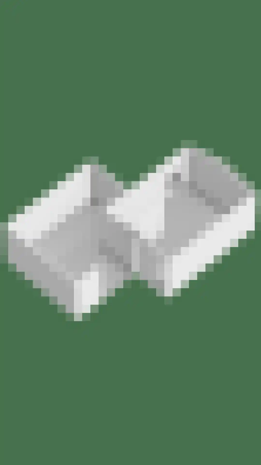 Noorderstraat 260 Sappemeer thumbnail 52