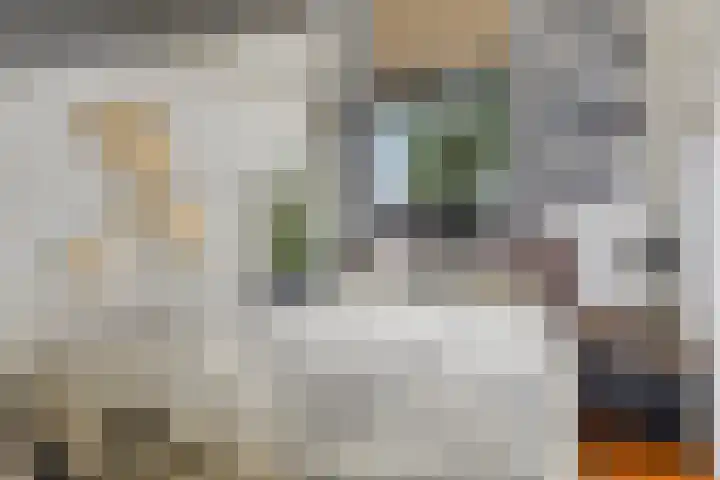 Noorderstraat 261 Sappemeer thumbnail 18