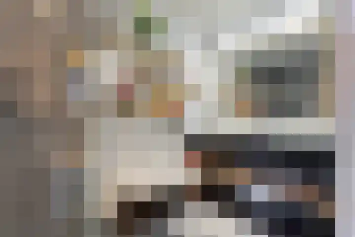 Noorderstraat 261 Sappemeer thumbnail 22