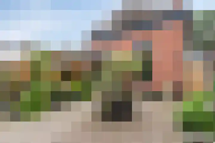 Noorderstraat 261 Sappemeer thumbnail 35