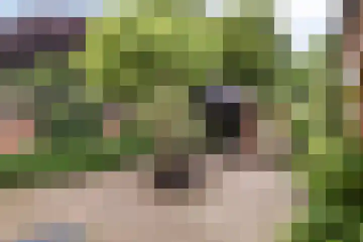 Noorderstraat 261 Sappemeer thumbnail 36