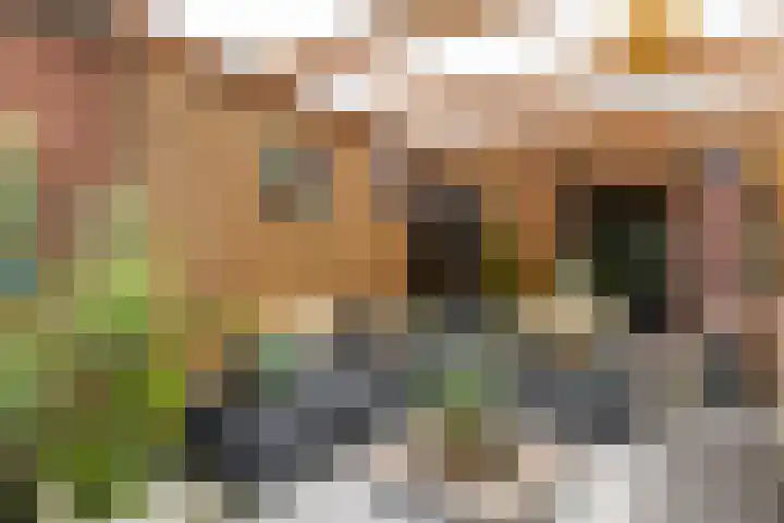 Noorderstraat 261 Sappemeer thumbnail 38