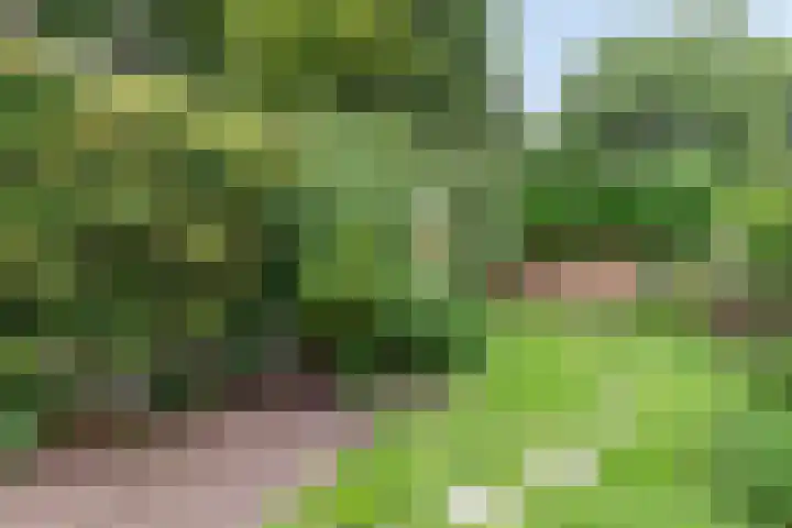 Noorderstraat 261 Sappemeer thumbnail 40