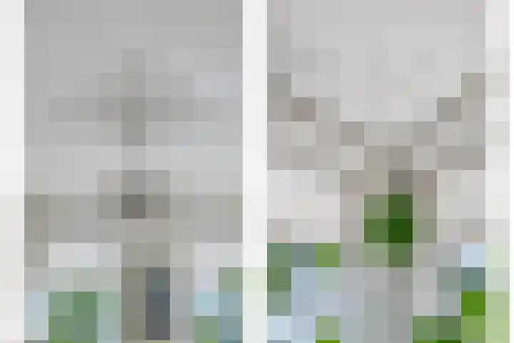 Noorderstraat 261 Sappemeer thumbnail 7