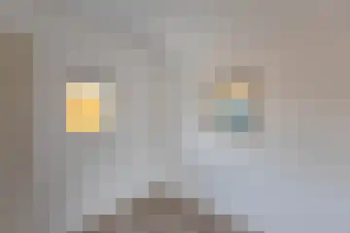 Noorderstraat 3 Dongjum thumbnail 16