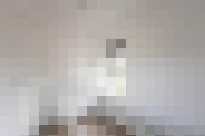 Noorderstraat 3 Dongjum thumbnail 24