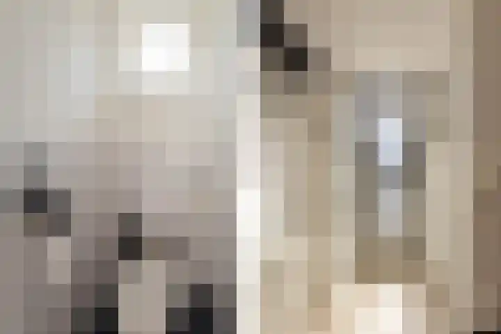 Noorderstraat 3 Dongjum thumbnail 6