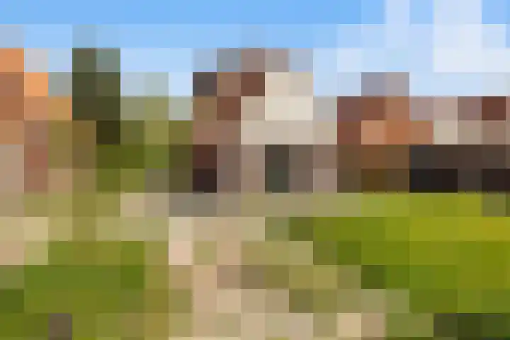 Noorderstraat 30 Bellingwolde thumbnail 14