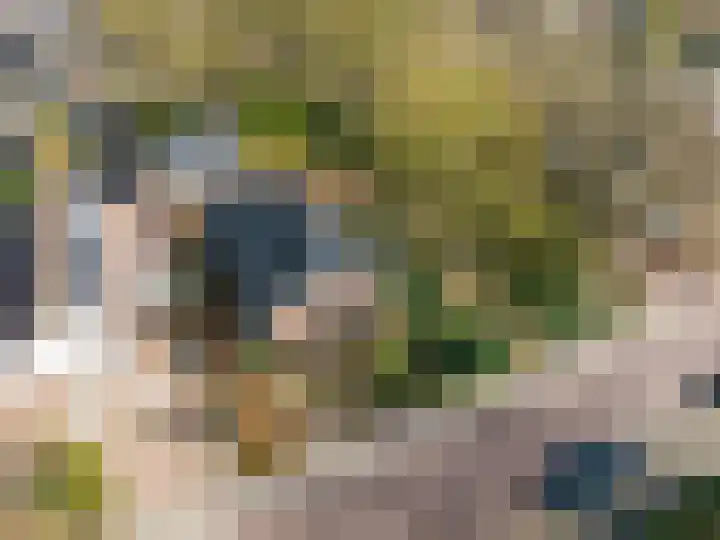 Noorderstraat 30 Bellingwolde thumbnail 8