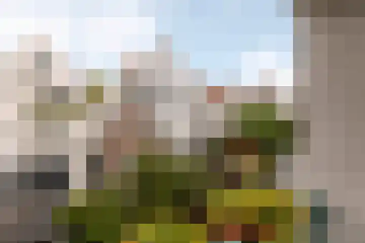 Noorderstraat 31 B Amsterdam thumbnail 25