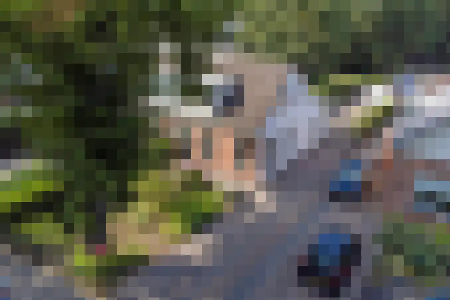 Noorderstraat 329 Sappemeer thumbnail 10