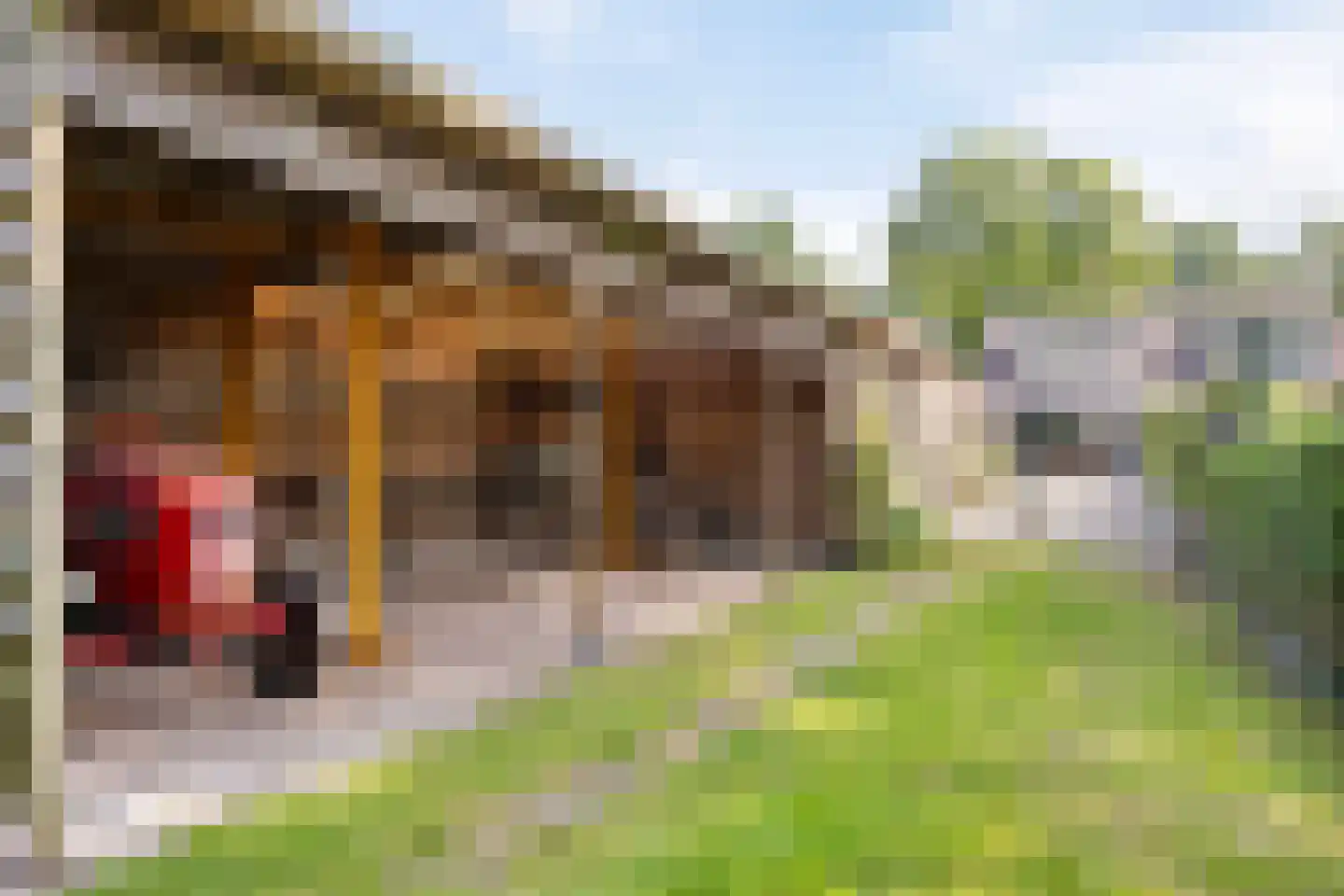 Noorderstraat 329 Sappemeer thumbnail 41