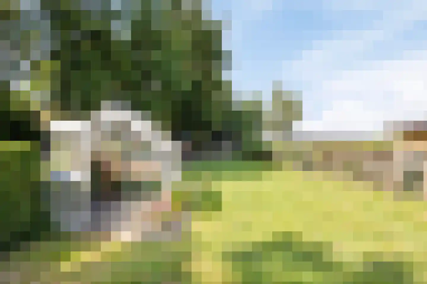Noorderstraat 329 Sappemeer thumbnail 42