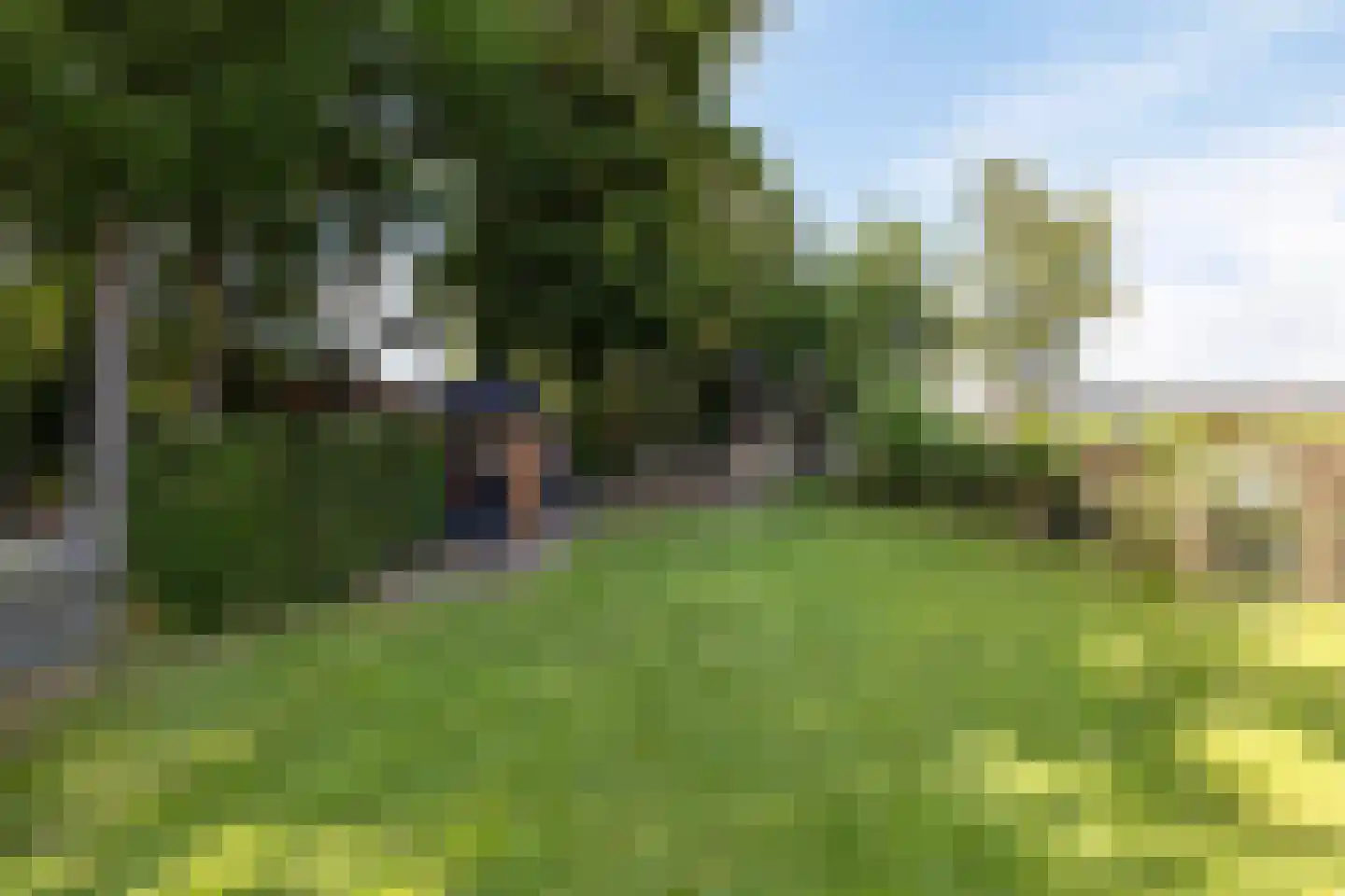 Noorderstraat 329 Sappemeer thumbnail 43