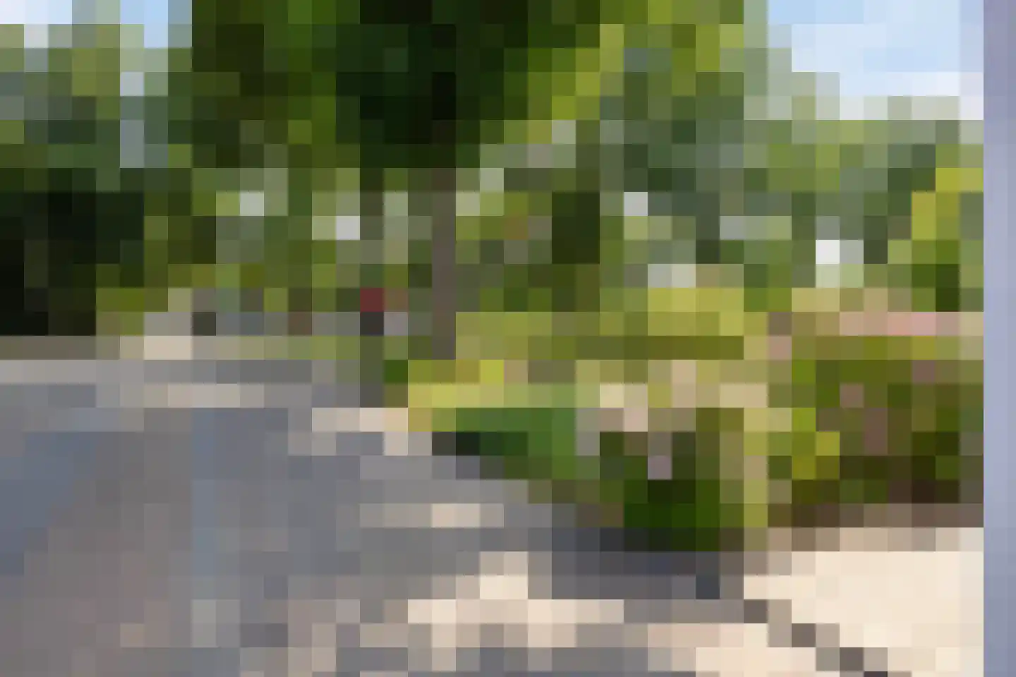Noorderstraat 329 Sappemeer thumbnail 48