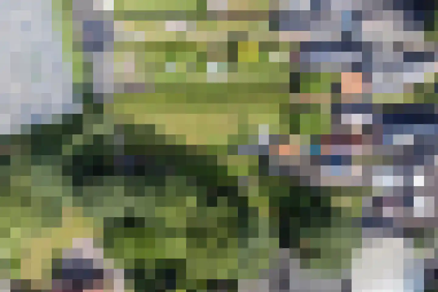 Noorderstraat 329 Sappemeer thumbnail 50