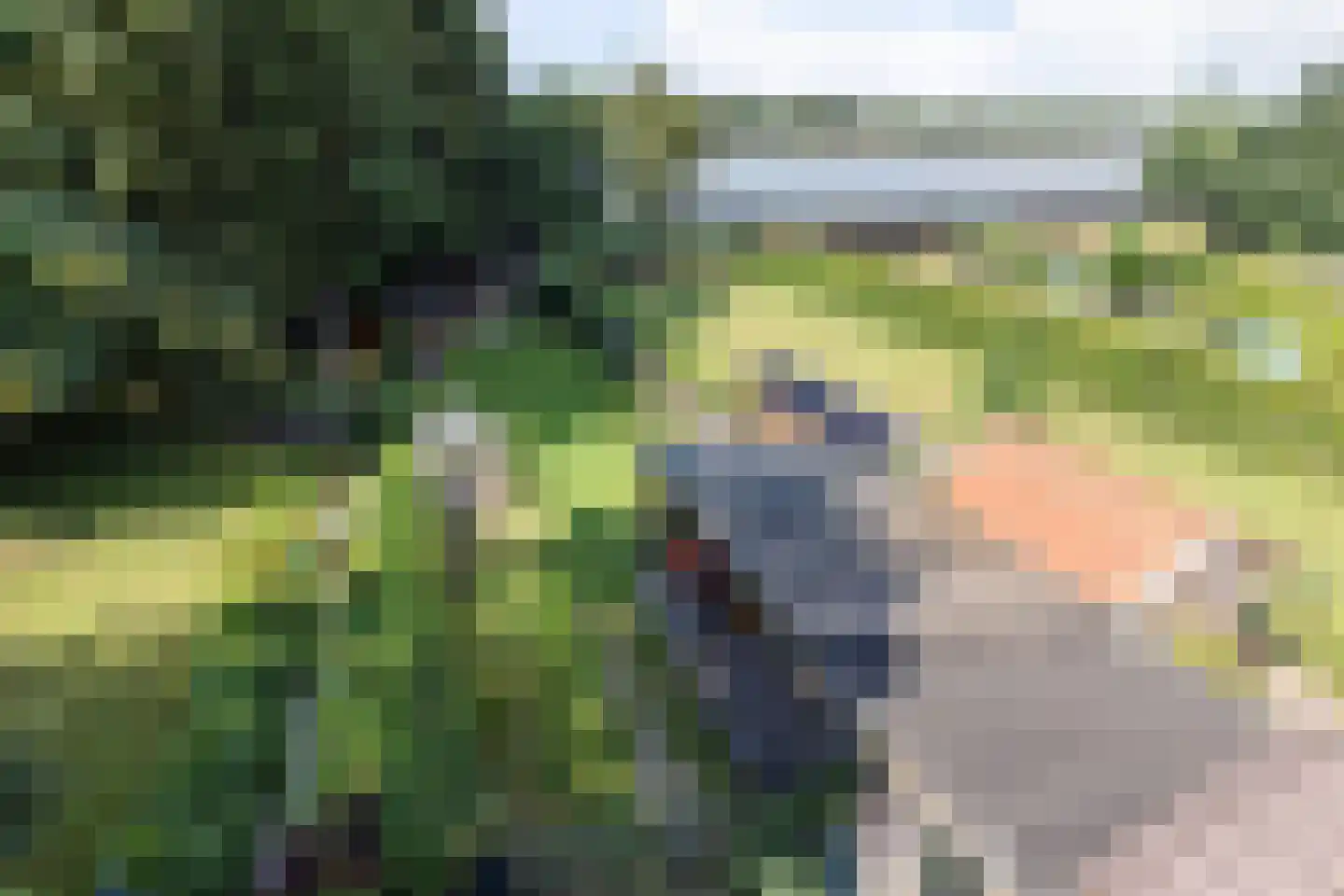 Noorderstraat 329 Sappemeer thumbnail 52