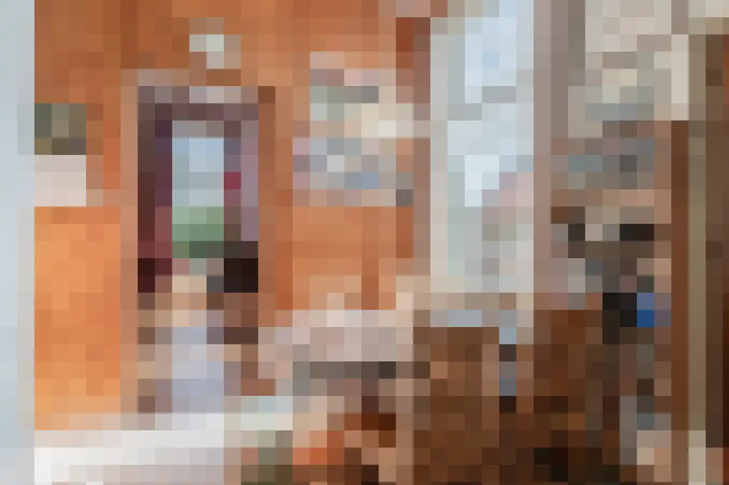 Noorderstraat 346 Sappemeer thumbnail 12