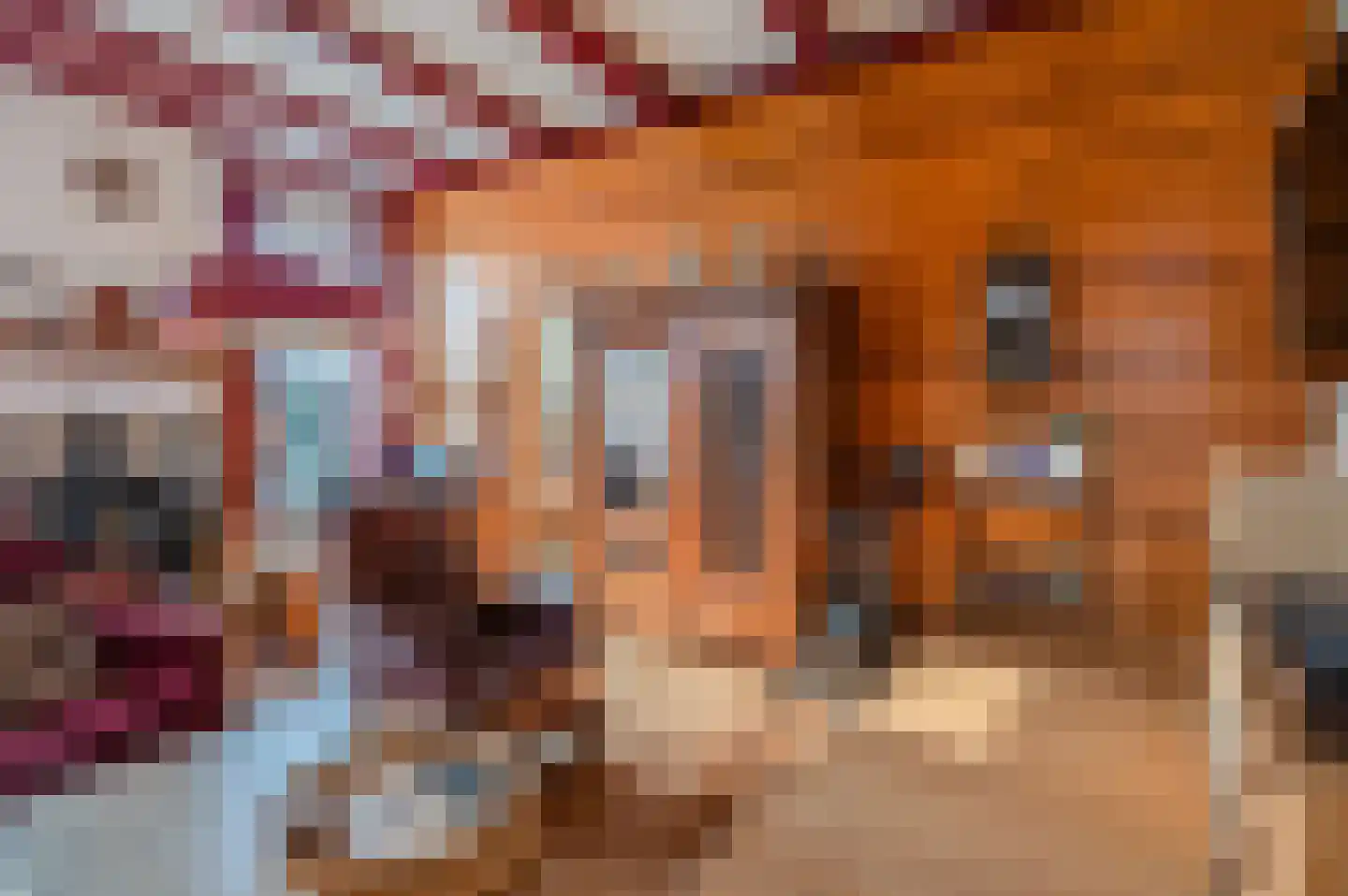 Noorderstraat 346 Sappemeer thumbnail 15