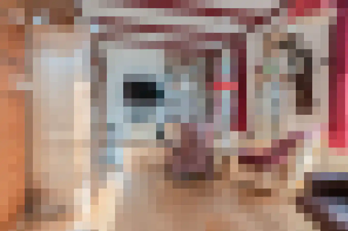 Noorderstraat 346 Sappemeer thumbnail 17