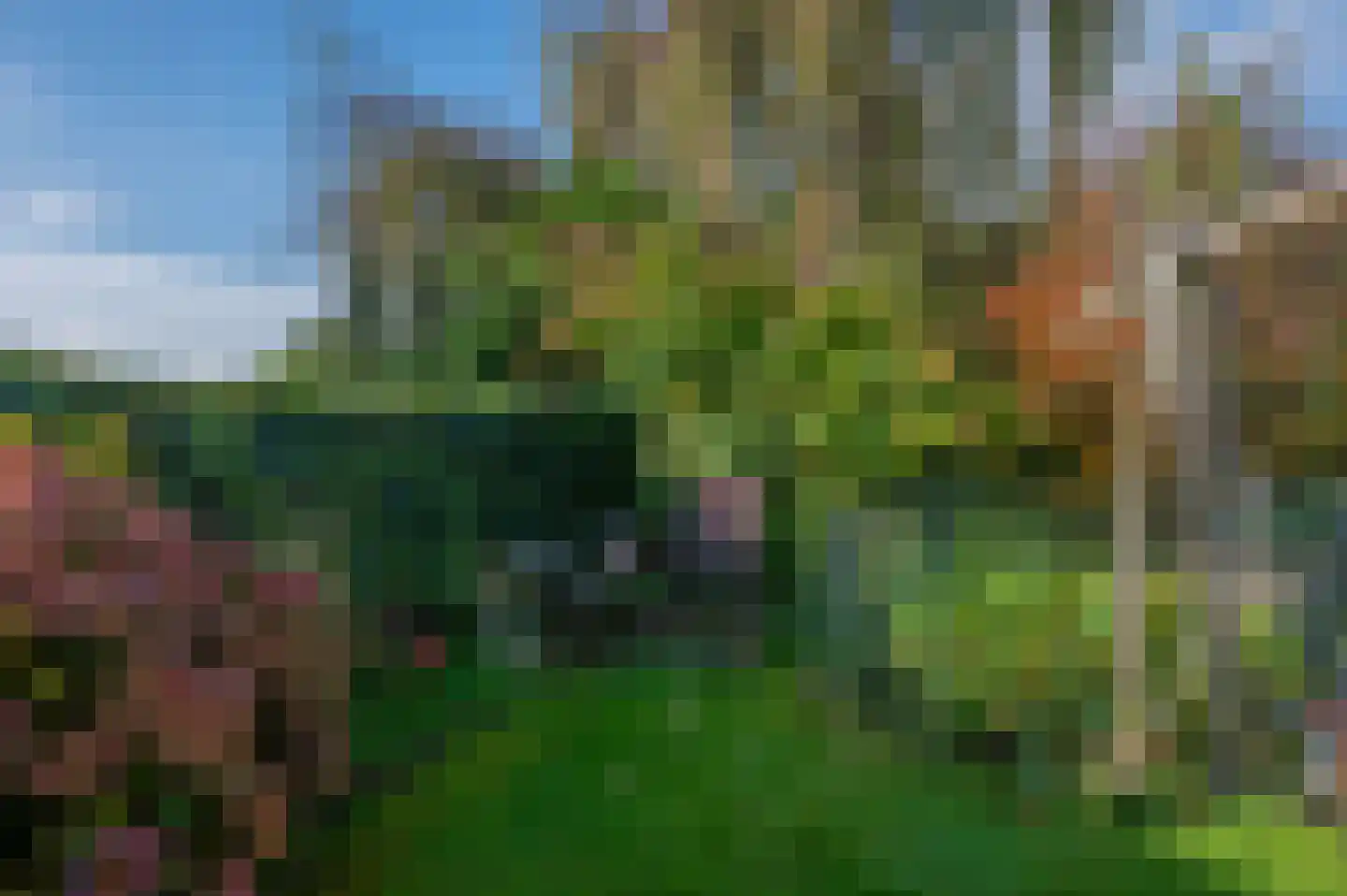 Noorderstraat 346 Sappemeer thumbnail 56
