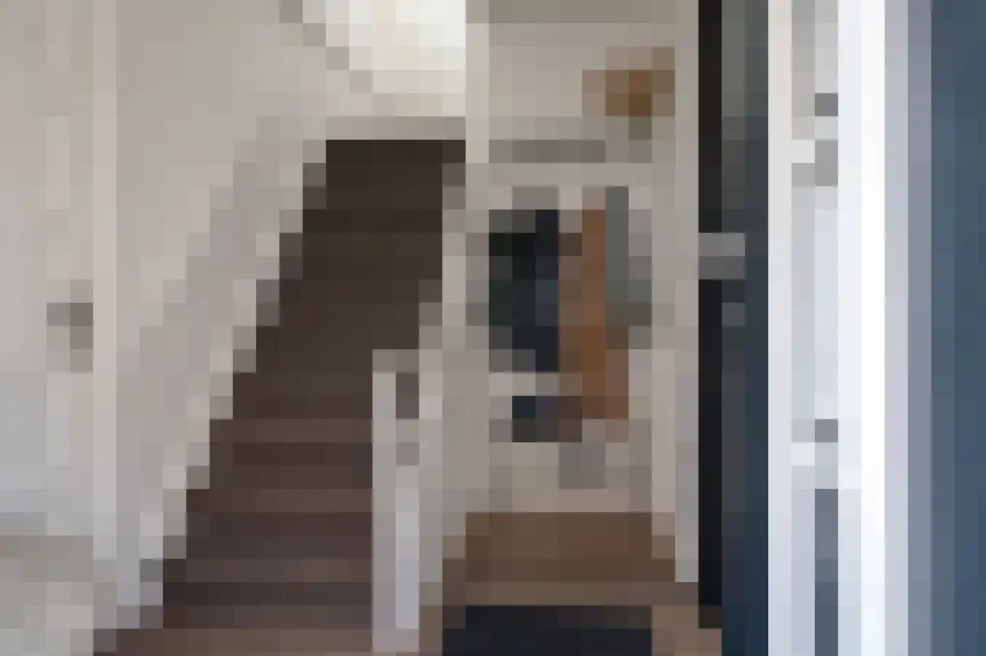 Noorderstraat 376 Sappemeer thumbnail 17
