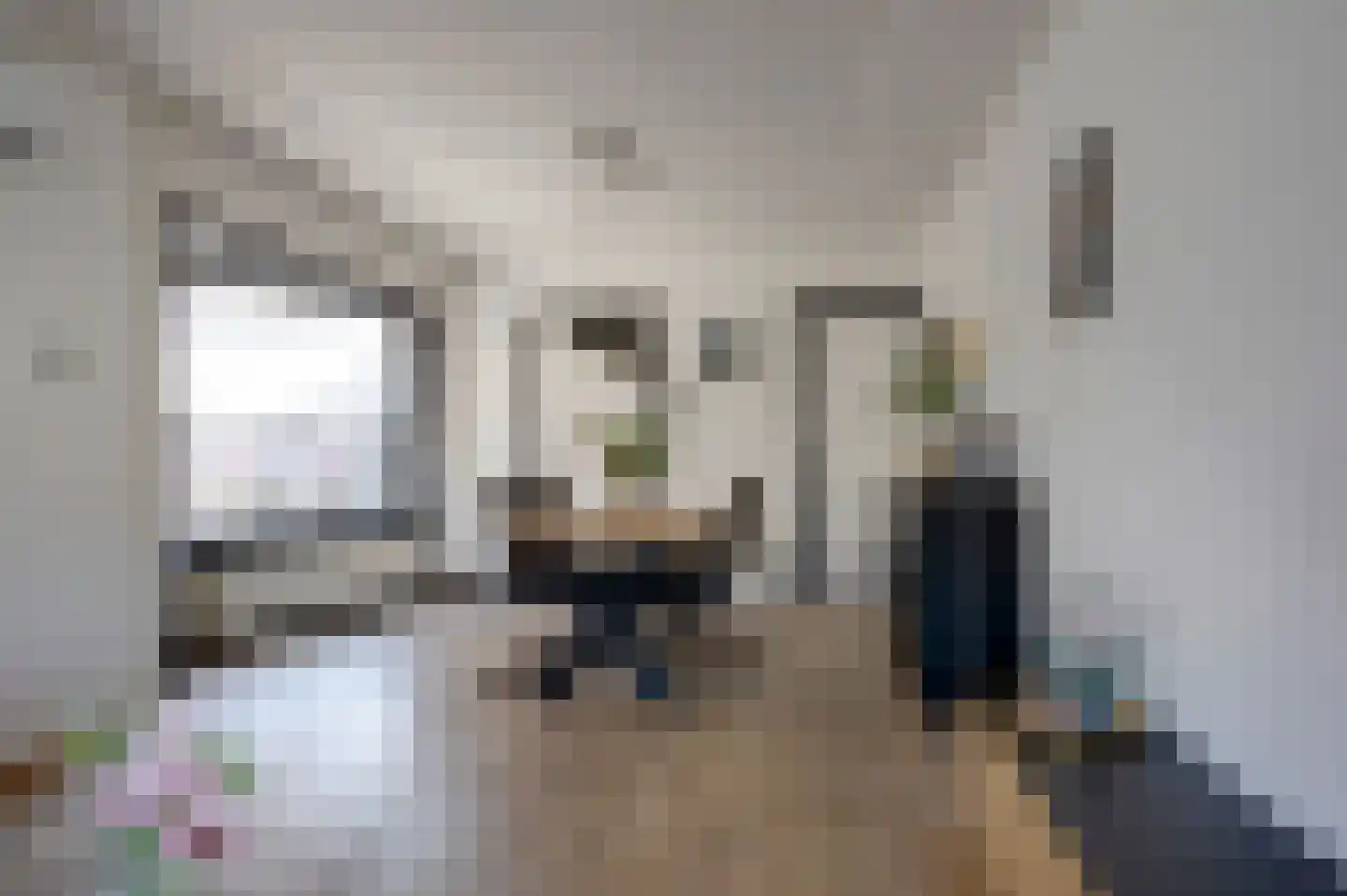 Noorderstraat 376 Sappemeer thumbnail 20