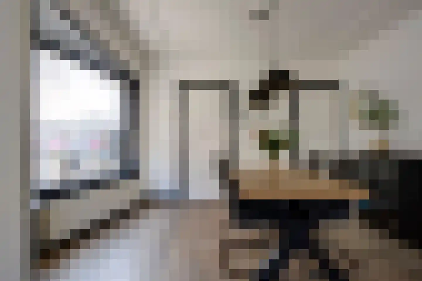 Noorderstraat 376 Sappemeer thumbnail 21