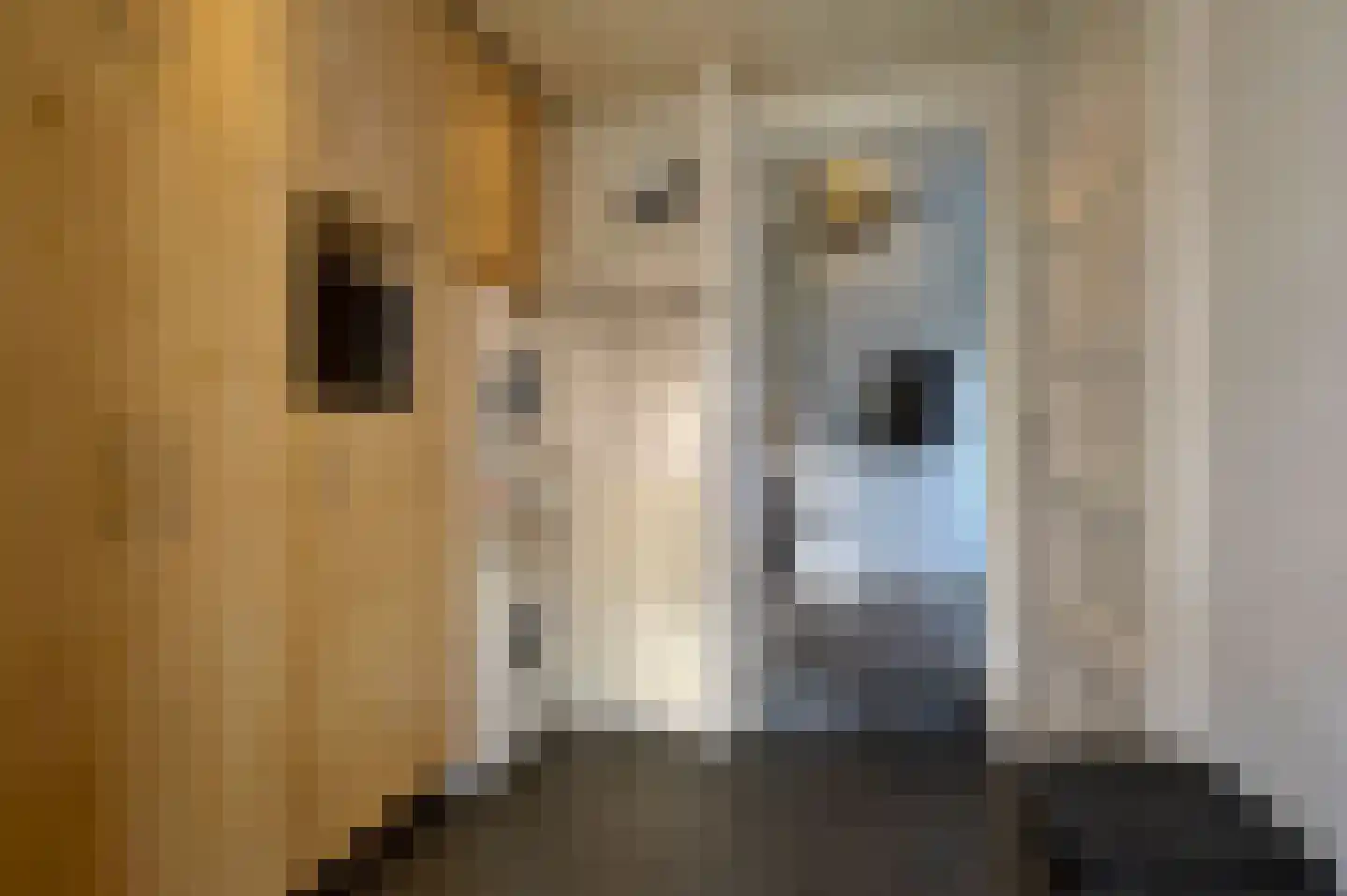 Noorderstraat 376 Sappemeer thumbnail 25