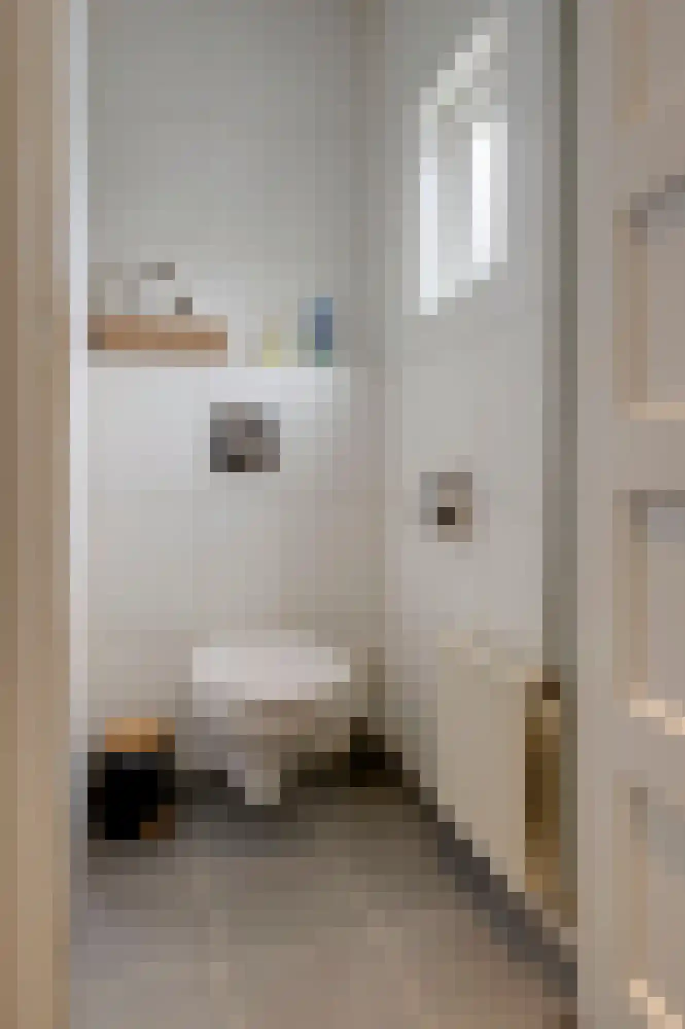 Noorderstraat 376 Sappemeer thumbnail 27