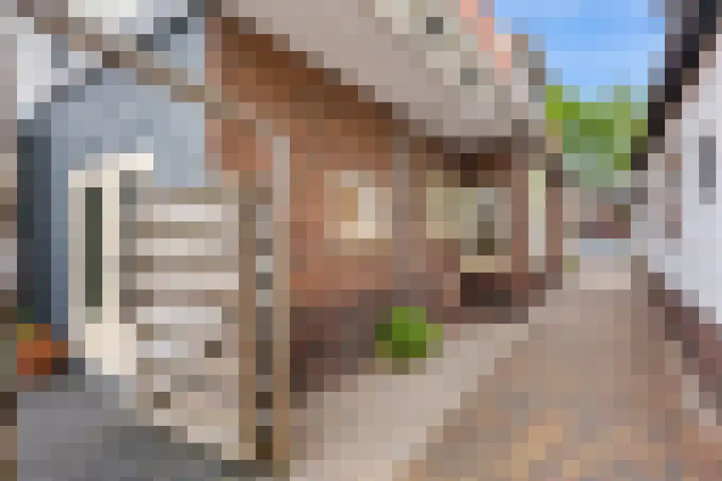 Noorderstraat 382 Sappemeer thumbnail 10