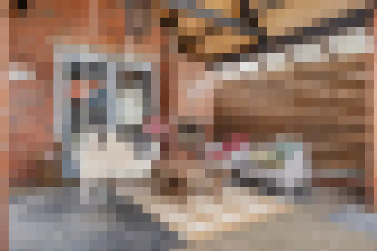 Noorderstraat 382 Sappemeer thumbnail 14