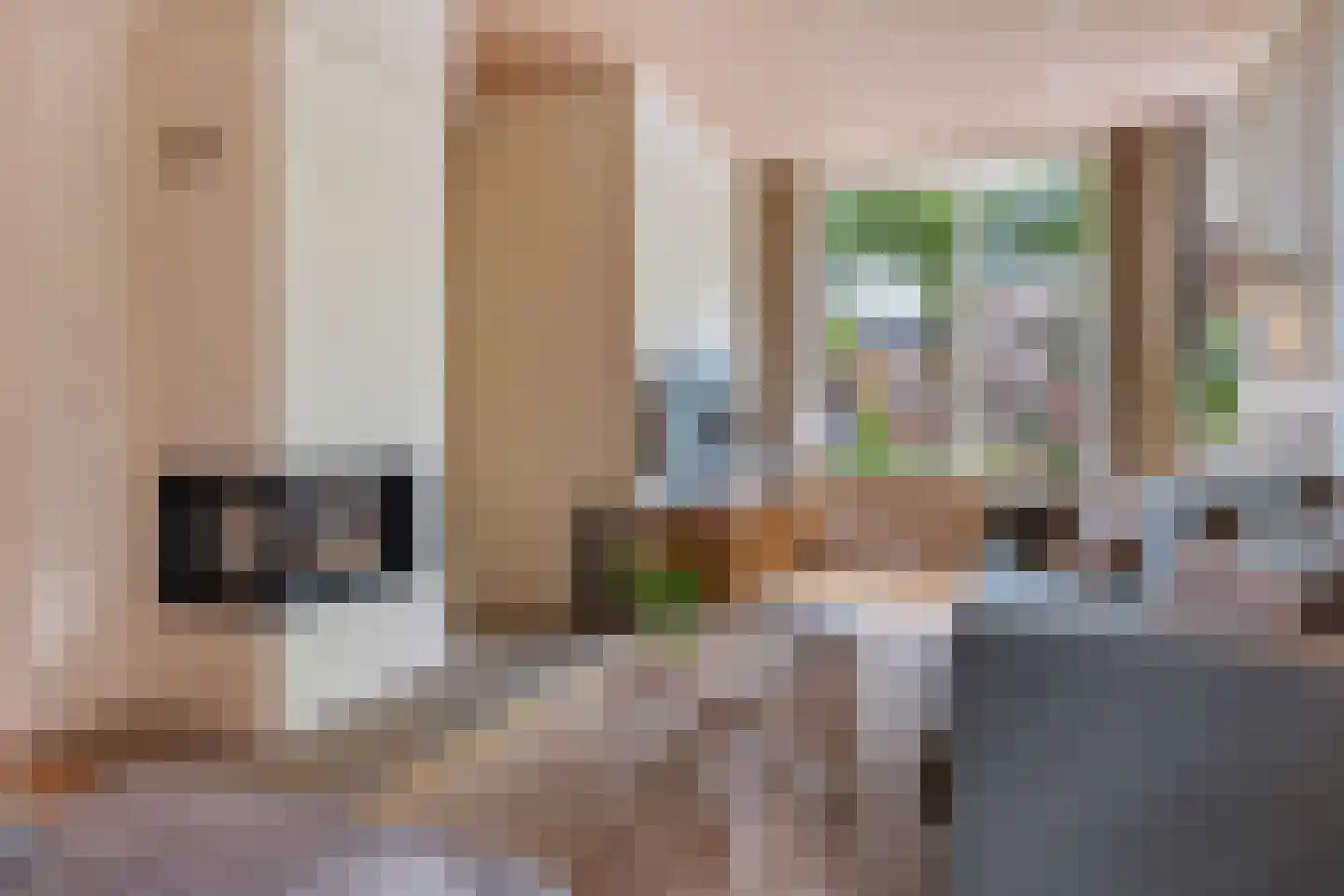 Noorderstraat 382 Sappemeer thumbnail 22