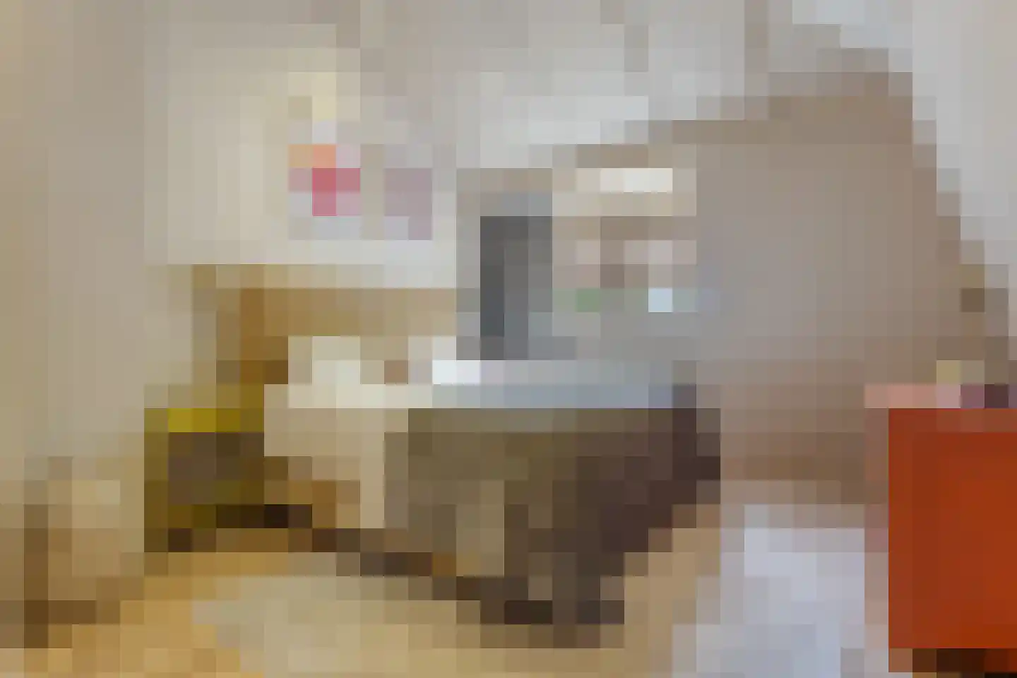 Noorderstraat 382 Sappemeer thumbnail 33