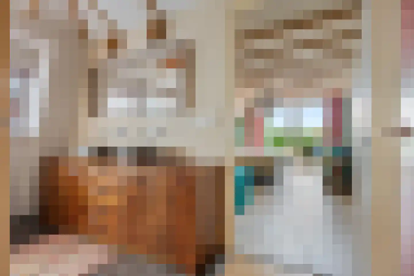 Noorderstraat 382 Sappemeer thumbnail 35