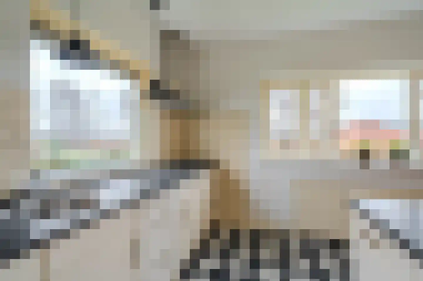 Noorderstraat 385 Sappemeer thumbnail 10