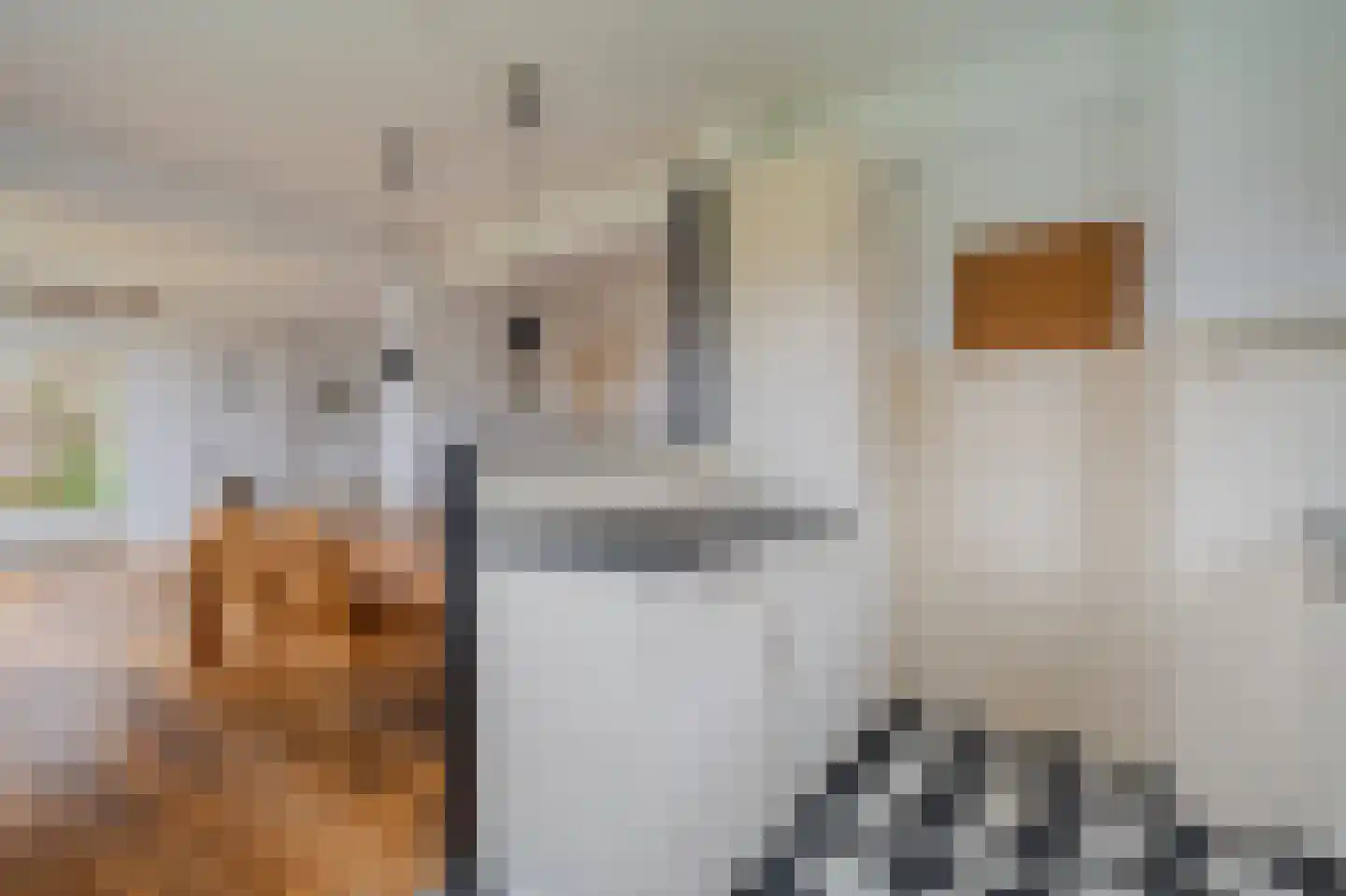 Noorderstraat 385 Sappemeer thumbnail 11