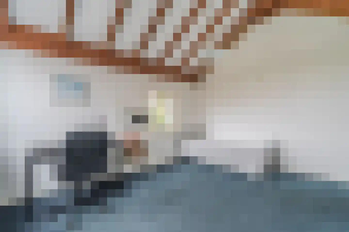 Noorderstraat 385 Sappemeer thumbnail 17